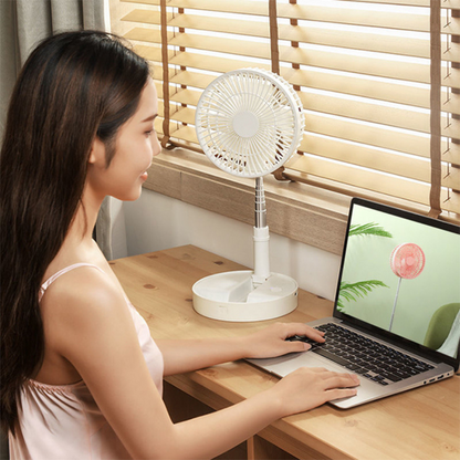 Portable Rechargeable Fan