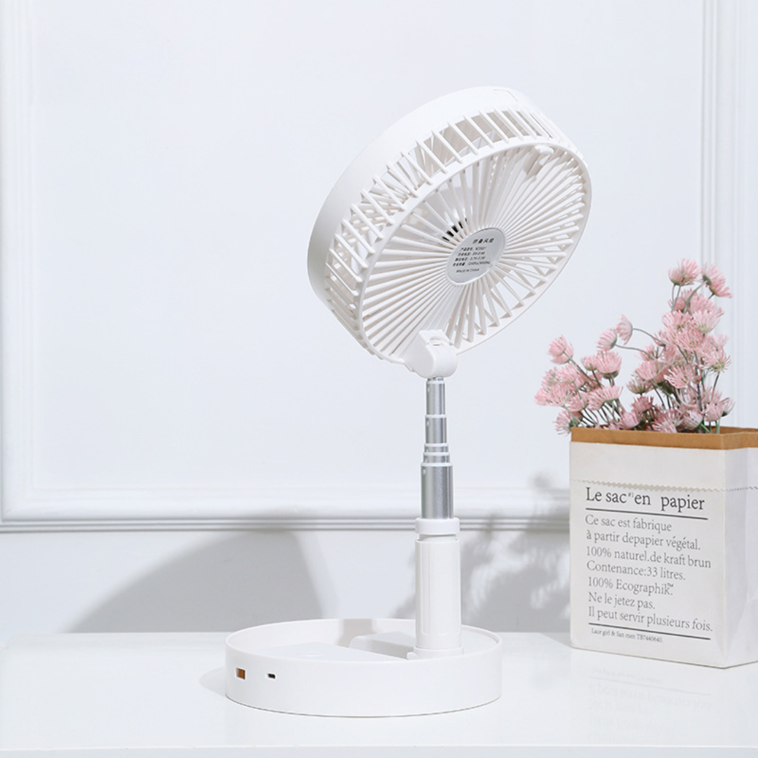 Portable Rechargeable Fan